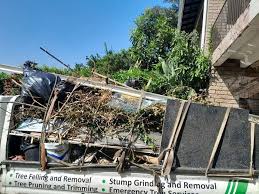 Best Carpet Removal and Disposal  in Breckenridge, MN