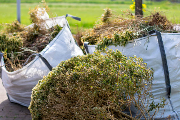 Shed Removal in Breckenridge, MN